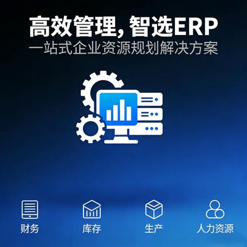 软件定制开发：企业的数字化助手